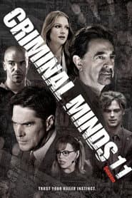 Season 11